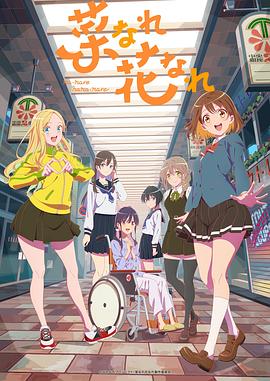 小白seo快速排名多少